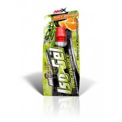 AMIX Iso Gel Recovery 70 ml